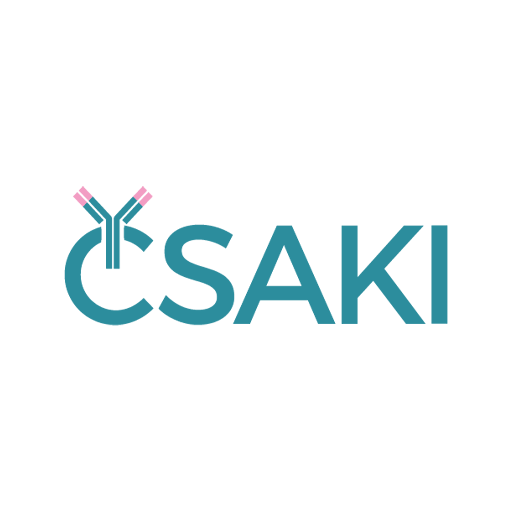 ČSAKI